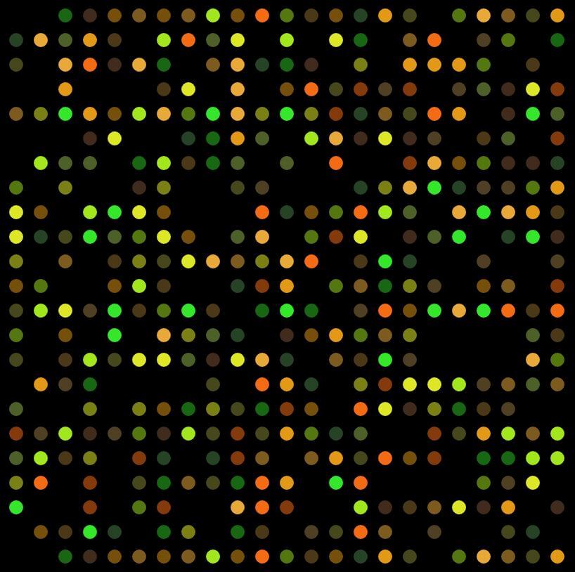 DNA Microarray