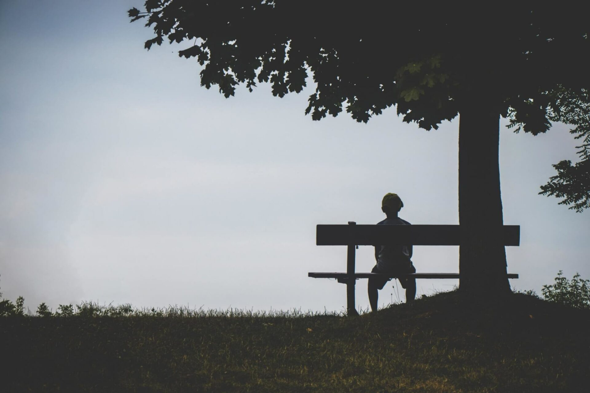 person-sitting-on-bench-under-tree-1280162_50